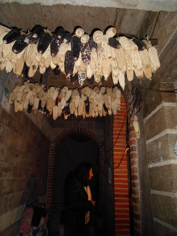 Privatquartier Santiago Xalitzintla -
jakob.beckeling@yahoo.com