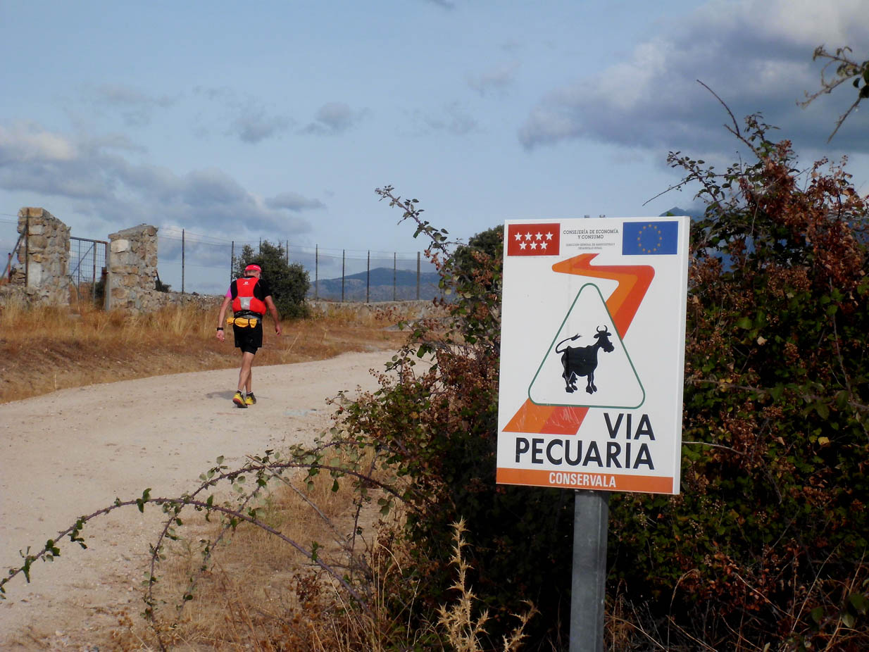 V&iacute;a Pecuaria - Hirtenweg --
www.jakob-beckeling.net