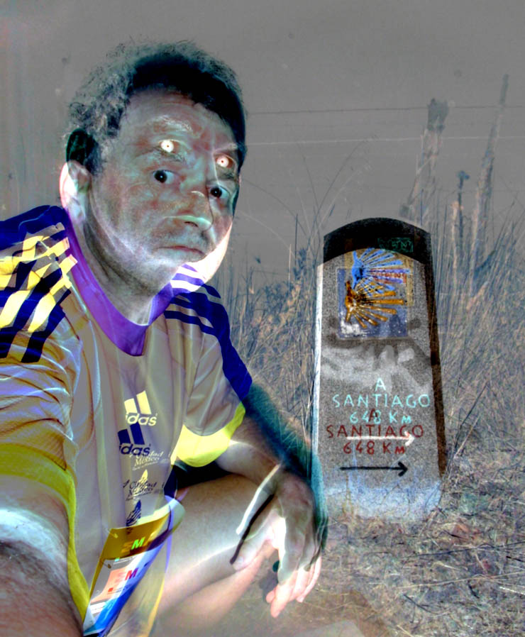 Wegweiser: noch 648 km nach Santiago - www.jakob-beckeling.net