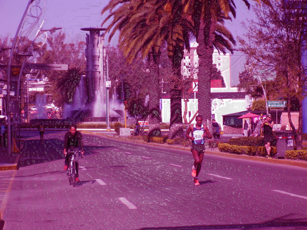 Sieger Puebla-Marathon 2014: Lemma Mesfine Hailu - 
jakob.beckeling@yahoo.com